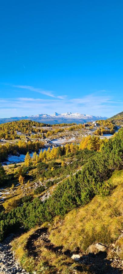 Ferienwohnungen Bergpanorama Bad Mitterndorf Exterior foto